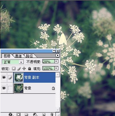 PhotoshopΪͨƬЧ