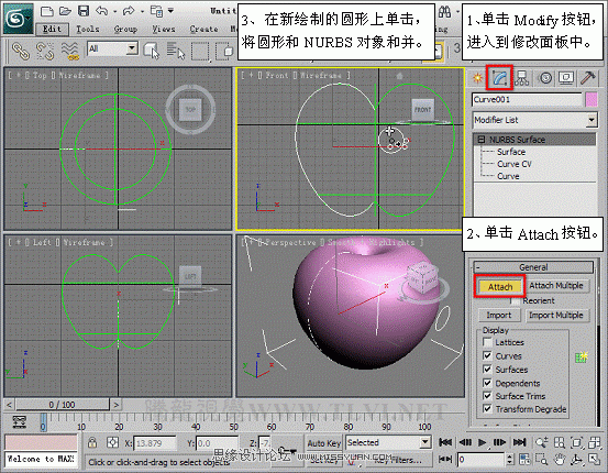 3D MAXʹNURBS̰Գ潨ģ