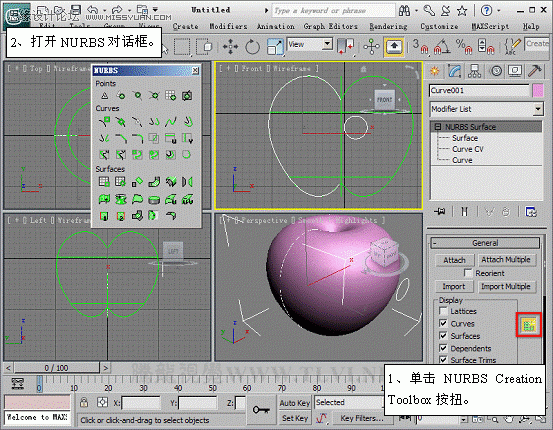 3D MAXʹNURBS̰Գ潨ģ