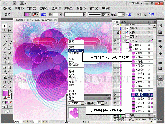 Illustrator CS5̳̣װ̳