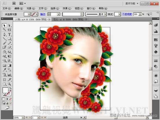 Illustrator CS5̳̣Ư廭