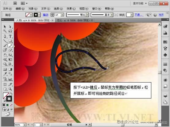 Illustrator CS5̳̣Ư廭