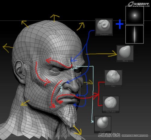 3DMAX̳̣ս񡷴