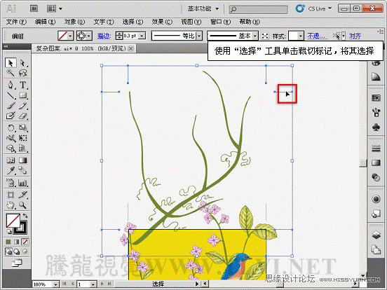 Illustrator̳̣޷ͼ