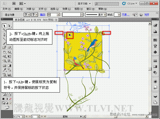 Illustrator̳̣޷ͼ