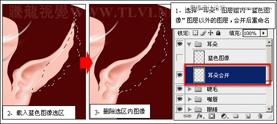 Photoshop详细解析卡通画的设计与绘制流程,PS教程,图老师教程网