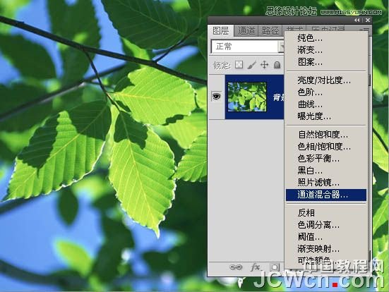 Photoshop通道简单将绿叶变黄叶效果,PS教程,图老师教程网