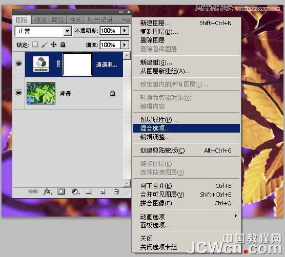 Photoshop通道简单将绿叶变黄叶效果,PS教程,图老师教程网