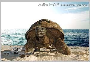 Photoshop创意合成乌龟海岛,PS教程,图老师教程网