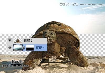 Photoshop创意合成乌龟海岛,PS教程,图老师教程网