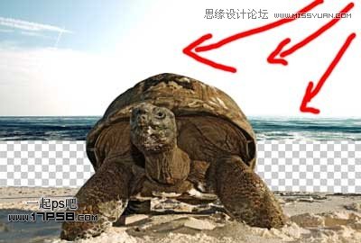 Photoshop创意合成乌龟海岛,PS教程,图老师教程网