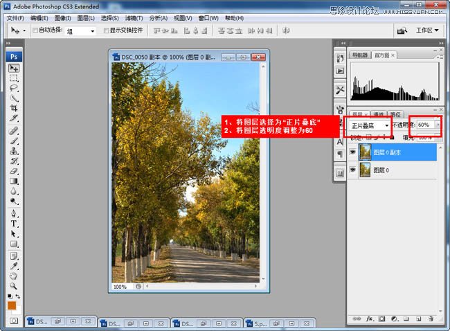 Photoshop调出公园树木秋季黄调,PS教程,图老师教程网