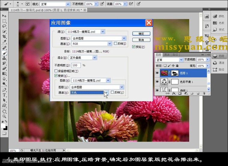 Photoshop增加后期花朵照片的颜色层次感,PS教程,图老师教程网