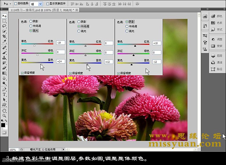 Photoshop增加后期花朵照片的颜色层次感,PS教程,图老师教程网