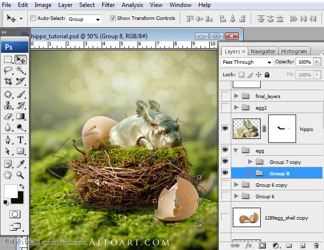 Photoshop合成刚刚从鸟窝里孵出的河马,PS教程,图老师教程网