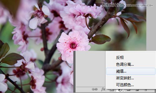 Photoshop利用曲线修正灰蒙蒙花朵图片,PS教程,图老师教程网