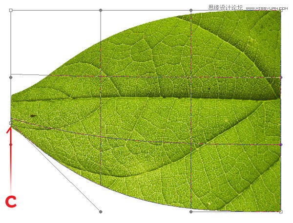 Photoshop制作超美的绿色立体树叶,PS教程,图老师教程网