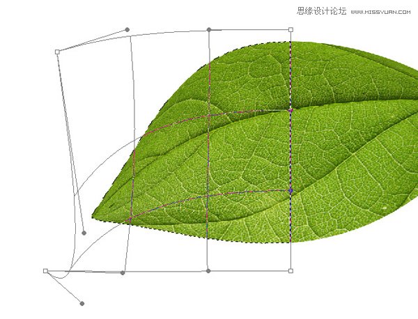 Photoshop制作超美的绿色立体树叶,PS教程,图老师教程网