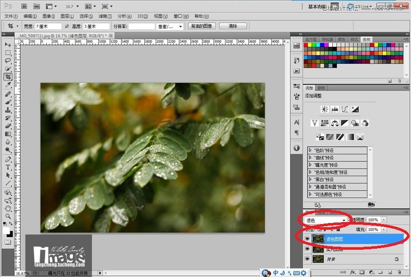 Photoshop CS5ӰЧ̳