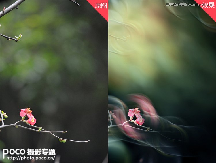 Photoshop设计绚丽的光线花枝背景效果,PS教程,图老师教程网