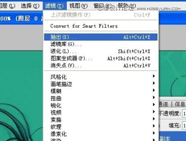 Photoshop巧用抽出滤镜给散落的头发抠图,PS教程,图老师教程网