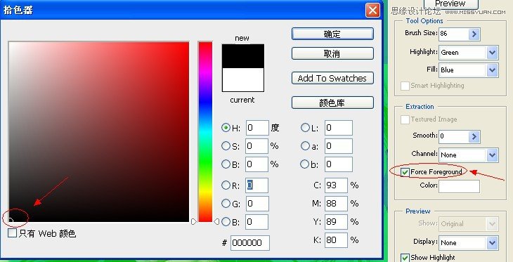 Photoshop巧用抽出滤镜给散落的头发抠图,PS教程,图老师教程网