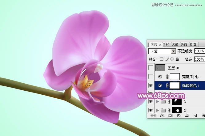 Photoshop绘制漂亮的紫色蝴蝶兰教程,PS教程,图老师教程网