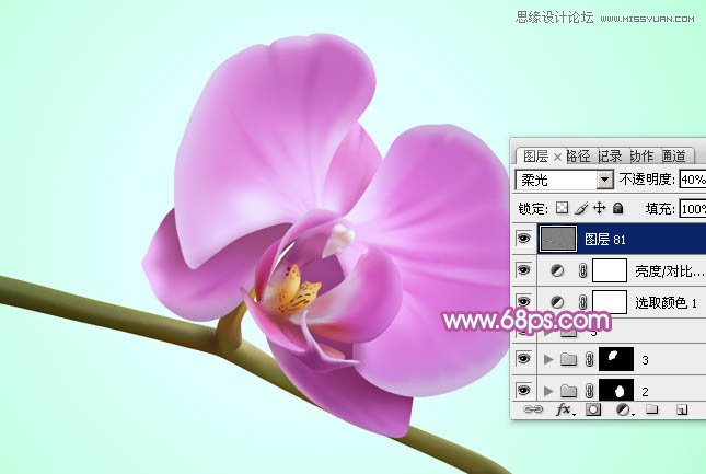 Photoshop绘制漂亮的紫色蝴蝶兰教程,PS教程,图老师教程网