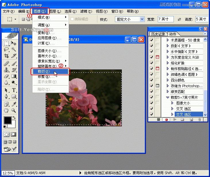 Photoshop巧用动作按比例自动批量裁剪照片,PS教程,图老师教程网