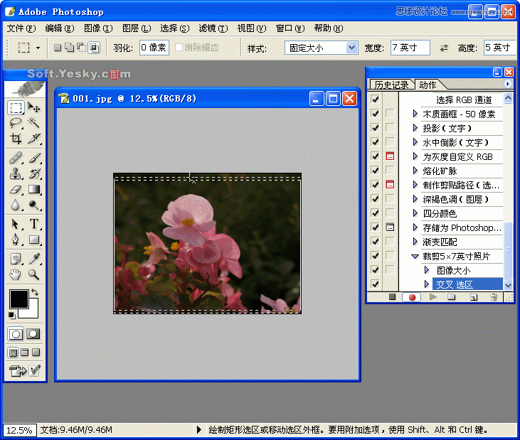 Photoshop巧用动作按比例自动批量裁剪照片,PS教程,图老师教程网