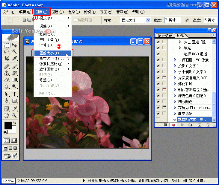 Photoshop巧用动作按比例自动批量裁剪照片,PS教程,图老师教程网