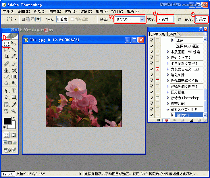 Photoshop巧用动作按比例自动批量裁剪照片,PS教程,图老师教程网