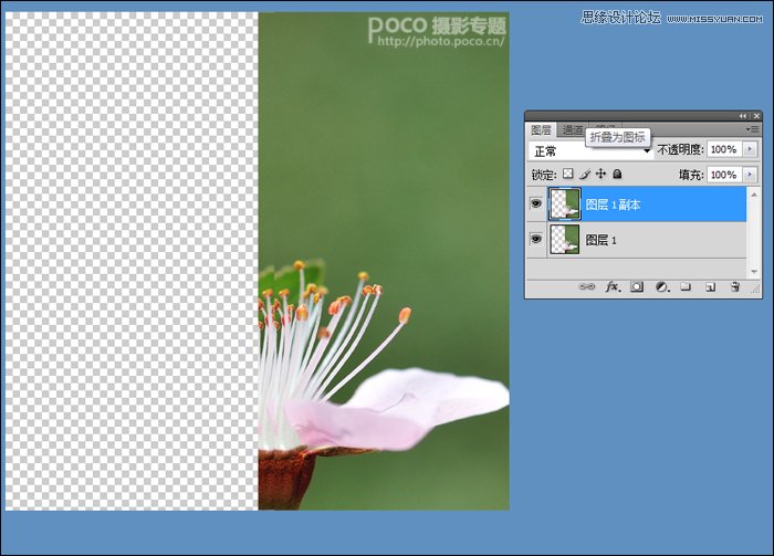 Photoshop调出花朵照片唯美鲜艳色调,PS教程,图老师教程网