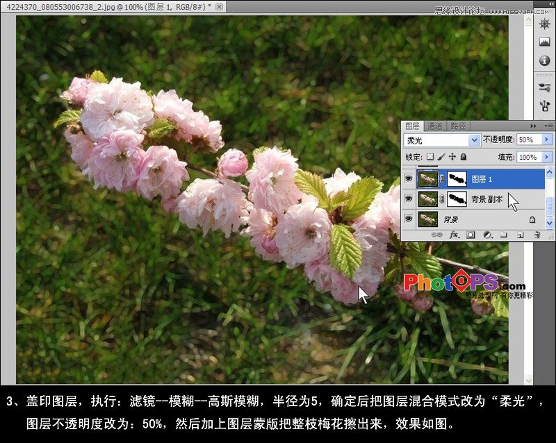 Photoshop给梅花图片换上斑斓梦幻的背景,PS教程,图老师教程网