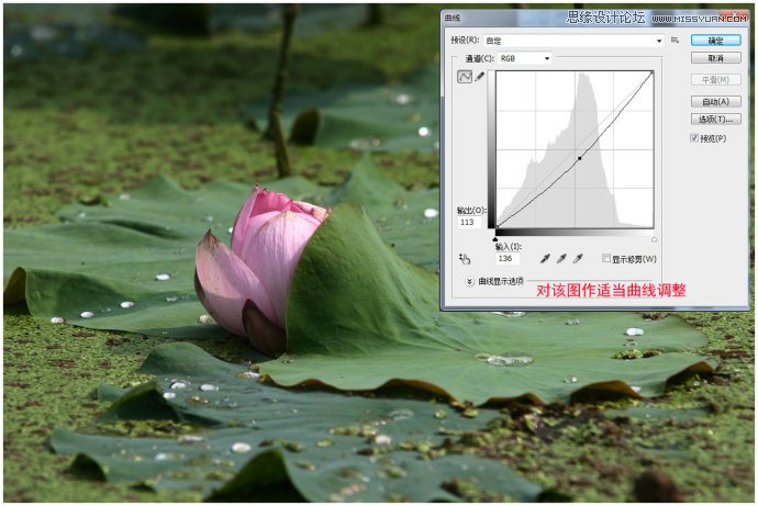 Photoshop调整整体的环境的颜色来优化图片,PS教程,图老师教程网