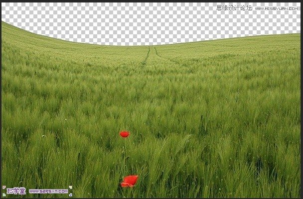 Photoshopϳɵµĸ