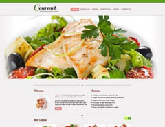 50ƷʵHTML5CSS3ҳģ