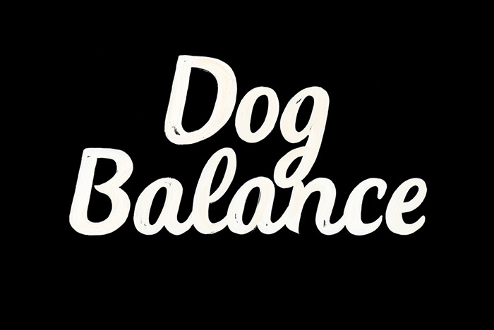 Dog Balanceװ