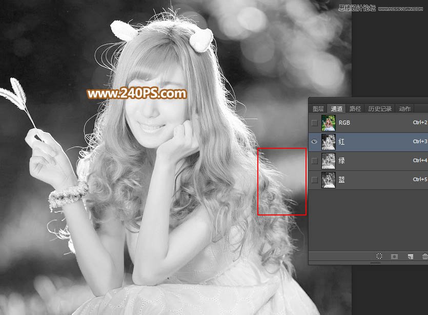 Photoshopͨٳ෢˿Ů